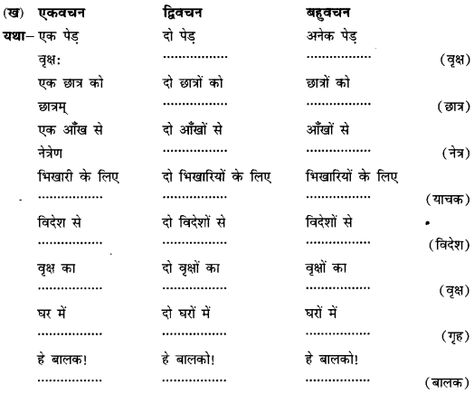 Class 6 Sanskrit Grammar Book Solutions अनुवाद विधिः 1
