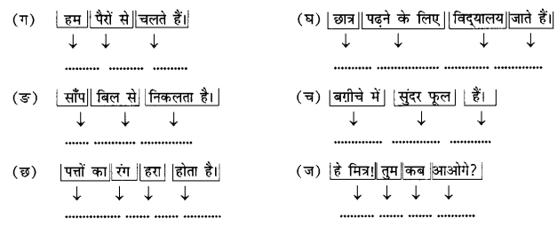 Class 6 Sanskrit Grammar Book Solutions अनुवाद विधिः 4