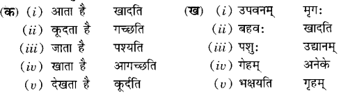 Class 6 Sanskrit Grammar Book Solutions अपठित गद्यांश 1
