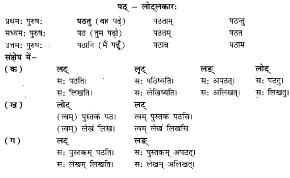 Class 6 Sanskrit Grammar Book Solutions क्रियापदानि तथा धातुरूपाणि 14