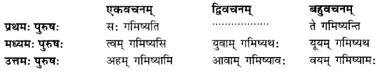 Class 6 Sanskrit Grammar Book Solutions क्रियापदानि तथा धातुरूपाणि 21