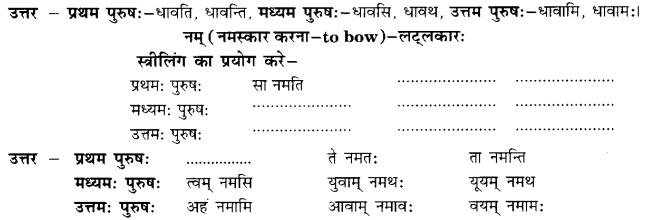 Class 6 Sanskrit Grammar Book Solutions क्रियापदानि तथा धातुरूपाणि 24