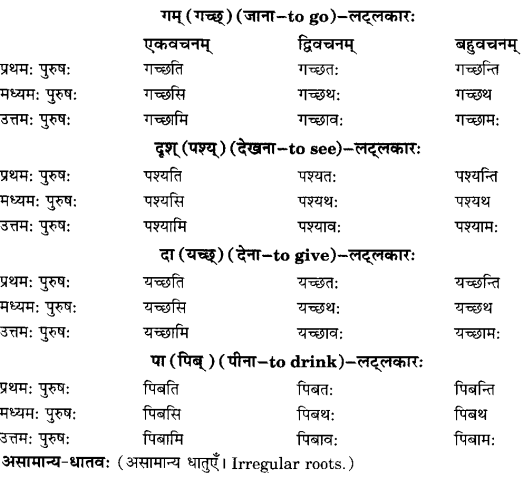 Class 6 Sanskrit Grammar Book Solutions क्रियापदानि तथा धातुरूपाणि 5