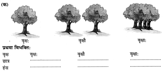 Class 6 Sanskrit Grammar Book Solutions संज्ञा शब्द-रूपाणि तथा वाक्यप्रयोगः 1