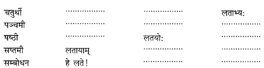 Class 6 Sanskrit Grammar Book Solutions संज्ञा शब्द-रूपाणि तथा वाक्यप्रयोगः 12