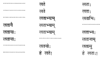 Class 6 Sanskrit Grammar Book Solutions संज्ञा शब्द-रूपाणि तथा वाक्यप्रयोगः 13