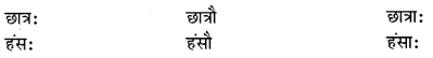 Class 6 Sanskrit Grammar Book Solutions संज्ञा शब्द-रूपाणि तथा वाक्यप्रयोगः 3