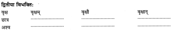 Class 6 Sanskrit Grammar Book Solutions संज्ञा शब्द-रूपाणि तथा वाक्यप्रयोगः 4