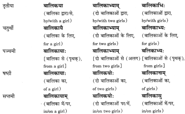 Class 6 Sanskrit Grammar Book Solutions संज्ञा शब्द-रूपाणि तथा वाक्यप्रयोगः 8