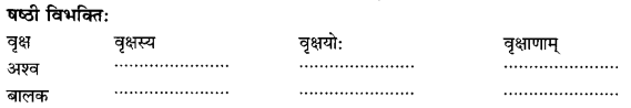 Class 6 Sanskrit Grammar Book Solutions संज्ञा शब्द-रूपाणि तथा वाक्यप्रयोगः 8