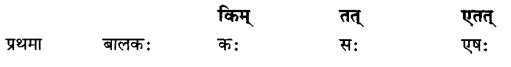 Class 6 Sanskrit Grammar Book Solutions सर्वनाम शब्द-रूपाणि तथा वाक्यप्रयोगः 3