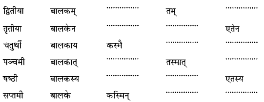 Class 6 Sanskrit Grammar Book Solutions सर्वनाम शब्द-रूपाणि तथा वाक्यप्रयोगः 4