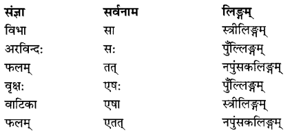 Class 6 Sanskrit Grammar Book Solutions सर्वनाम शब्द-रूपाणि तथा वाक्यप्रयोगः 6