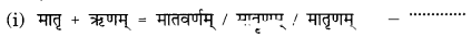 Class 9 Sanskrit Grammar Book Solutions सन्धिः 1