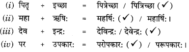 Class 9 Sanskrit Grammar Book Solutions सन्धिः 5