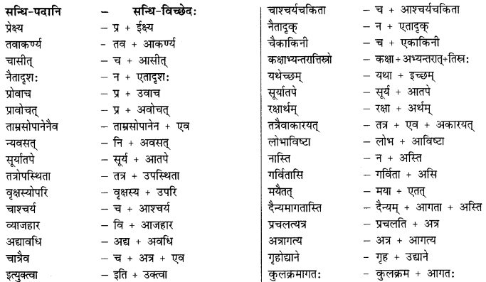 Class 9 Sanskrit Grammar Book Solutions सन्धिः 9