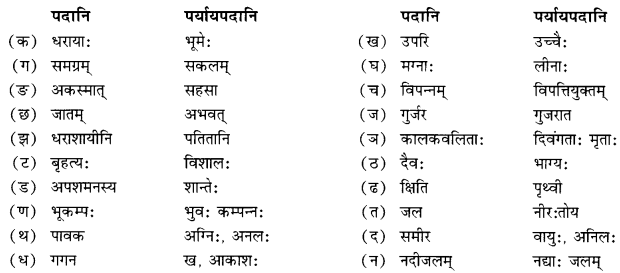 NCERT Solutions for Class 10 Sanskrit Shemushi Chapter 10 भूकंपविभीषिका Additional Q4.2