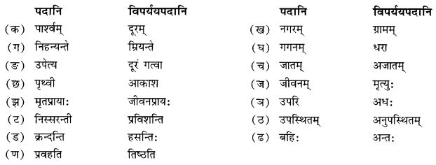 NCERT Solutions for Class 10 Sanskrit Shemushi Chapter 10 भूकंपविभीषिका Additional Q5.1