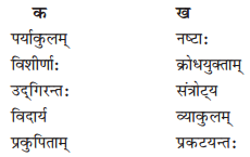 NCERT Solutions for Class 10 Sanskrit Shemushi Chapter 10 भूकंपविभीषिका Q7.3