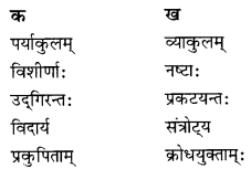 NCERT Solutions for Class 10 Sanskrit Shemushi Chapter 10 भूकंपविभीषिका Q7.4