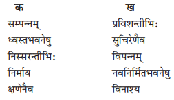 NCERT Solutions for Class 10 Sanskrit Shemushi Chapter 10 भूकंपविभीषिका Q7