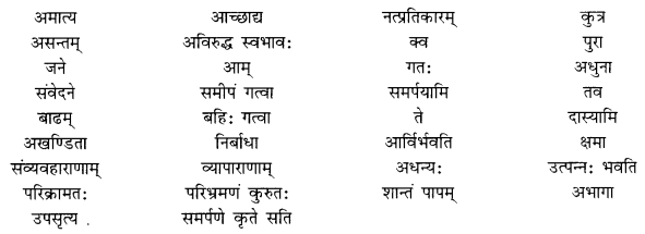 NCERT Solutions for Class 10 Sanskrit Shemushi Chapter 11 प्राणेभ्योऽपि प्रियः सुह्रद् Additional Q7.1