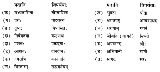 NCERT Solutions for Class 10 Sanskrit Shemushi Chapter 12 अनयोक्त्यः Additional Q7.1