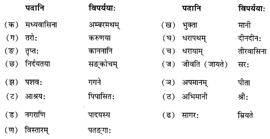 NCERT Solutions for Class 10 Sanskrit Shemushi Chapter 12 अनयोक्त्यः Additional Q7