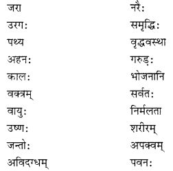 NCERT Solutions for Class 10 Sanskrit Shemushi Chapter 3 व्यायामः सर्वदा पथ्यः Additional Q5.1