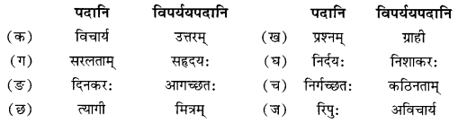 NCERT Solutions for Class 10 Sanskrit Shemushi Chapter 4 शिशुलालनम् Additional Q9