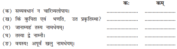 NCERT Solutions for Class 10 Sanskrit Shemushi Chapter 4 शिशुलालनम् Q5