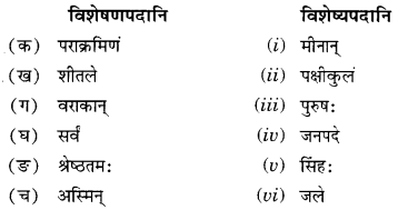 NCERT Solutions for Class 10 Sanskrit Shemushi Chapter 7 सौहार्दं प्रकृतेः शोभा Additional Q9