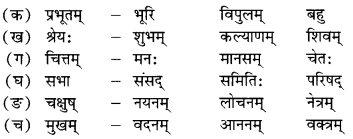 NCERT Solutions for Class 10 Sanskrit Shemushi Chapter 9 सूक्तयः Q6.3