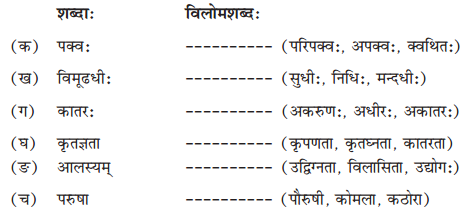 NCERT Solutions for Class 10 Sanskrit Shemushi Chapter 9 सूक्तयः Q6