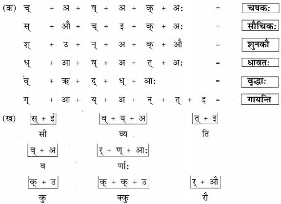 NCERT Solutions for Class 6 Sanskrit Chapter 1 शब्द परिचयः 1.5