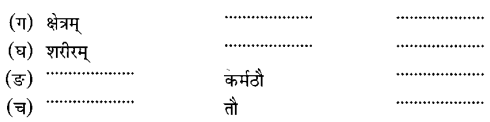 NCERT Solutions for Class 6 Sanskrit Chapter 10 कृषिकाः कर्मवीराः 6
