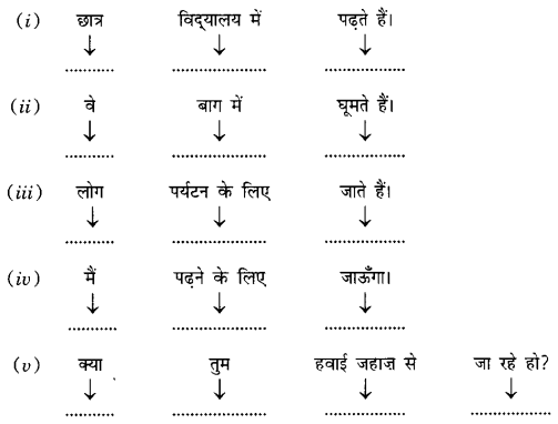 NCERT Solutions for Class 6 Sanskrit Chapter 11 पुष्पोत्सवः 6
