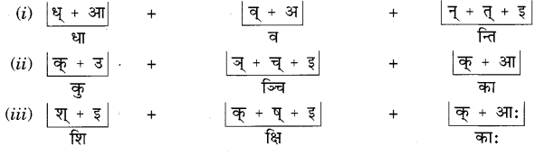 NCERT Solutions for Class 6 Sanskrit Chapter 2 शब्द परिचयः 2.10