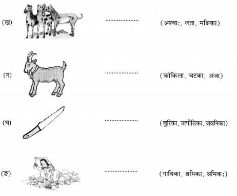 NCERT Solutions for Class 6 Sanskrit Chapter 2 शब्द परिचयः 2.17