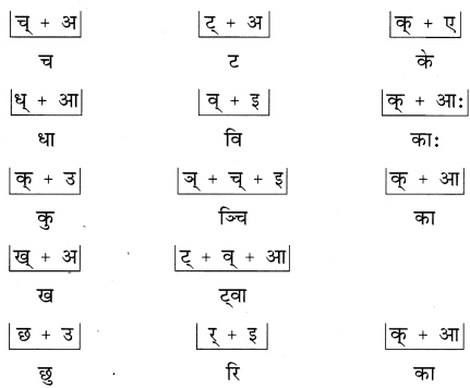 NCERT Solutions for Class 6 Sanskrit Chapter 2 शब्द परिचयः 2.5