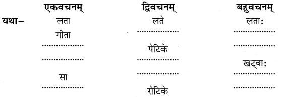 NCERT Solutions for Class 6 Sanskrit Chapter 2 शब्द परिचयः 2.7