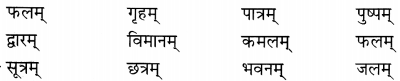 NCERT Solutions for Class 6 Sanskrit Chapter 3 शब्द परिचयः 3.1