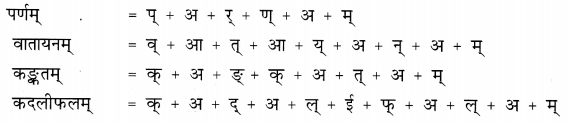NCERT Solutions for Class 6 Sanskrit Chapter 3 शब्द परिचयः 3.10