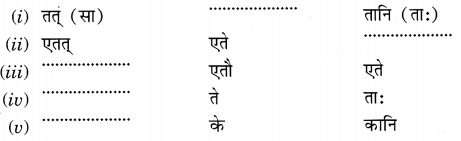NCERT Solutions for Class 6 Sanskrit Chapter 3 शब्द परिचयः 3.14