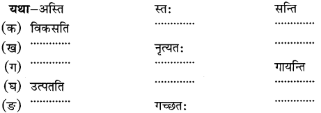 NCERT Solutions for Class 6 Sanskrit Chapter 3 शब्द परिचयः 3.17