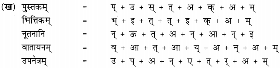 NCERT Solutions for Class 6 Sanskrit Chapter 3 शब्द परिचयः 3.5