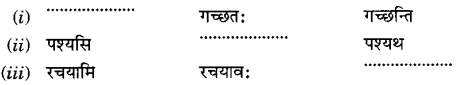 NCERT Solutions for Class 6 Sanskrit Chapter 9 क्रीडास्पर्धा 8