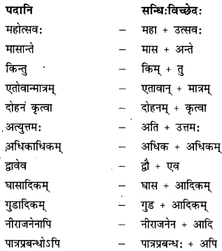 गोदोहनम् Summary Notes Class 9 Sanskrit Chapter 3.13