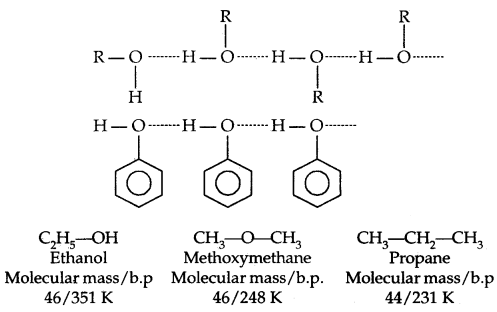 Alcohols, Phenols and Ethers Class 12 Notes Chemistry 29