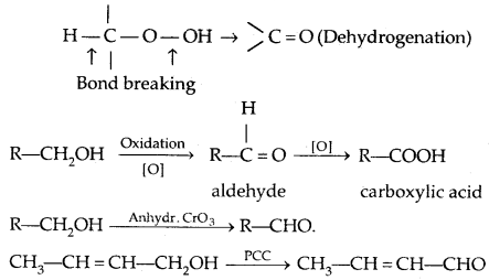Alcohols, Phenols and Ethers Class 12 Notes Chemistry 48